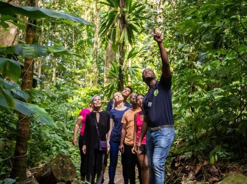Sunrise Birdwatching and Rainforest Hike with Breakfast