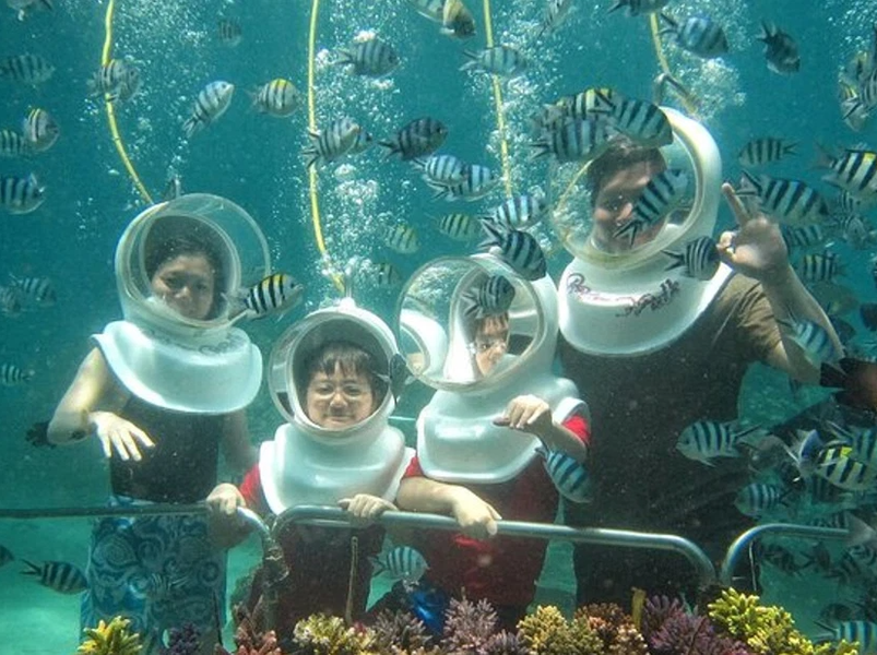 SeaTrek and Snorkeling Tour
