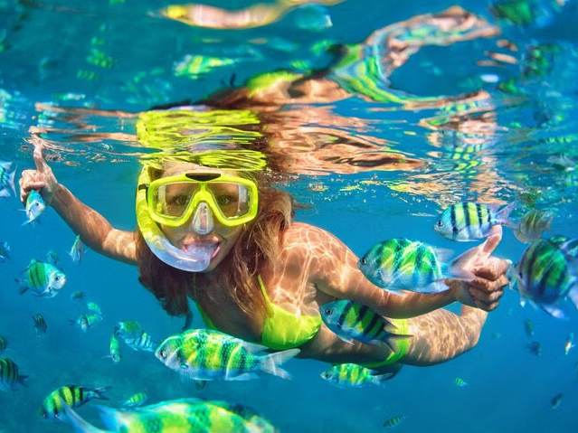 Island Tour: Mayan Ruins, Reef Snorkeling, and Beach Escape