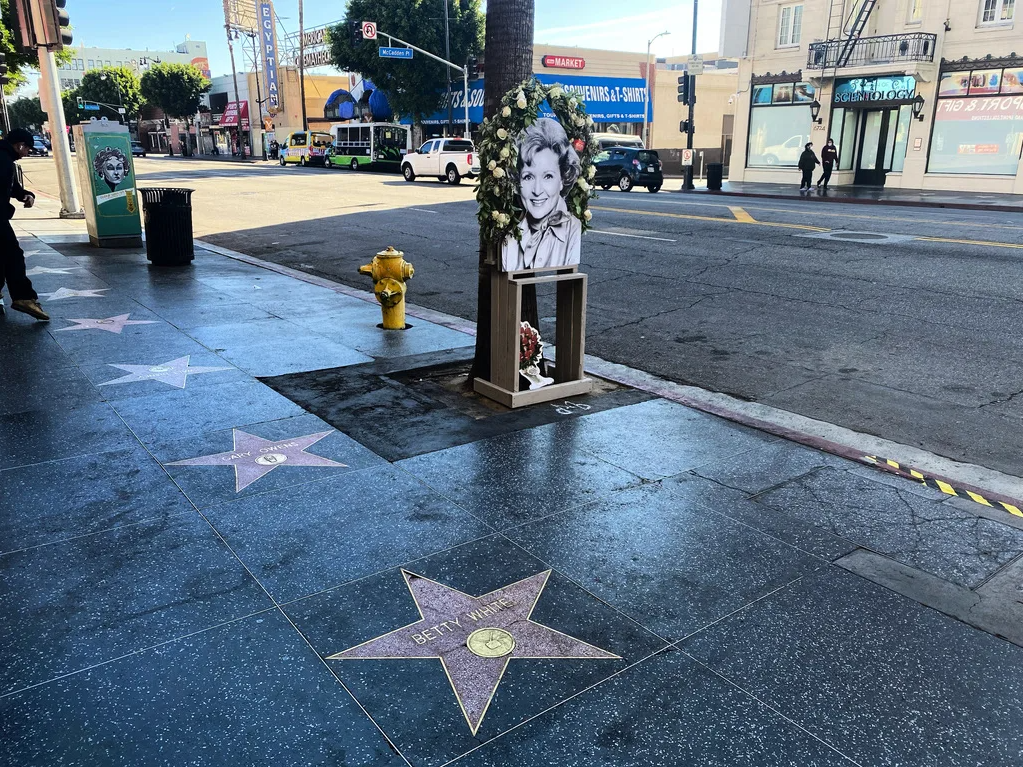 Hollywood Walk of Fame Tour