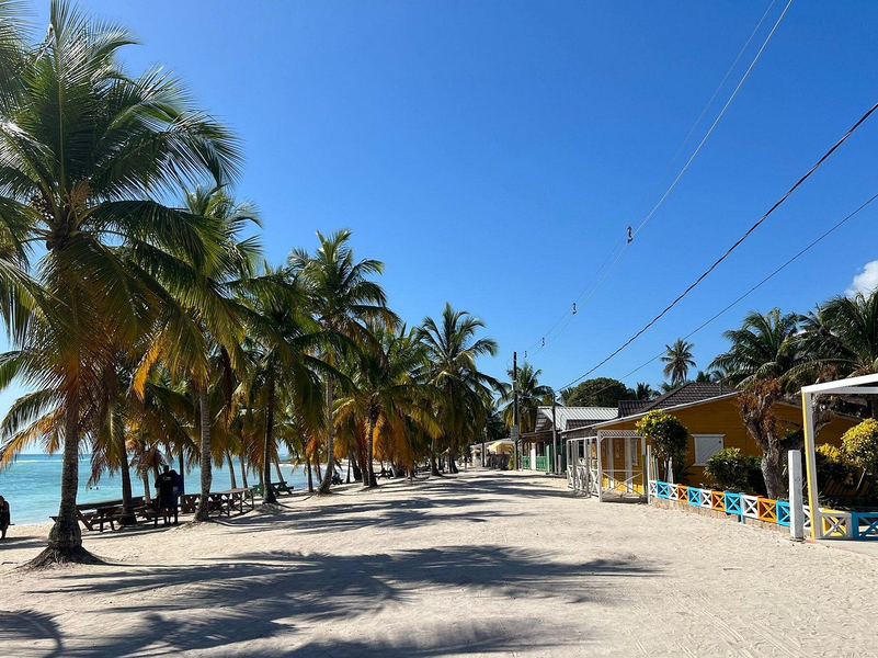 Saona Island and Chavon River Tour with Lunch and Drinks