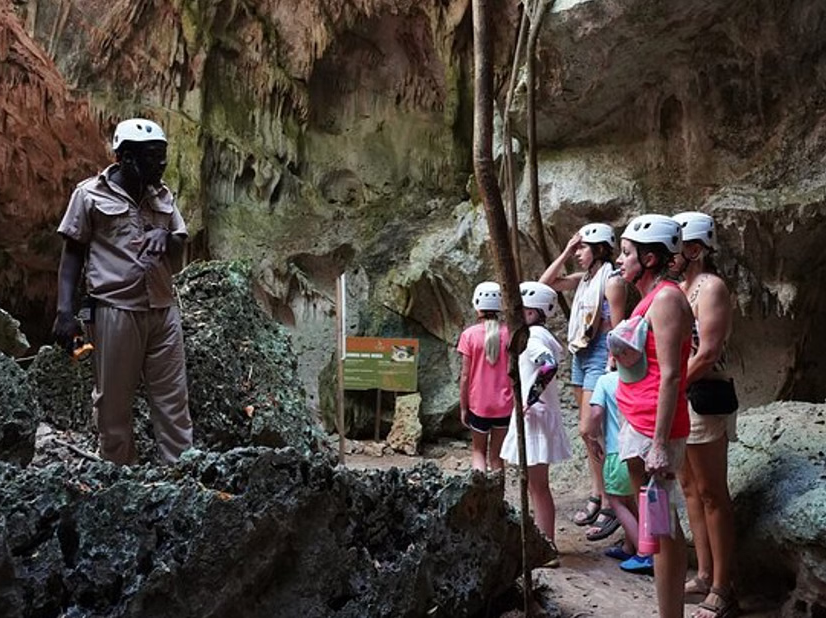 Ziplining, Cenote Swim, Waterfall and Monkeys Tour