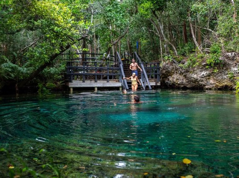 Cenote Swim and Snorkeling Cruise with Open Bar