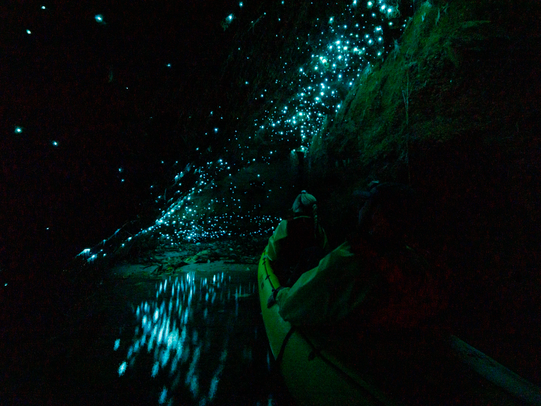 Glow Worm Kayak Tour