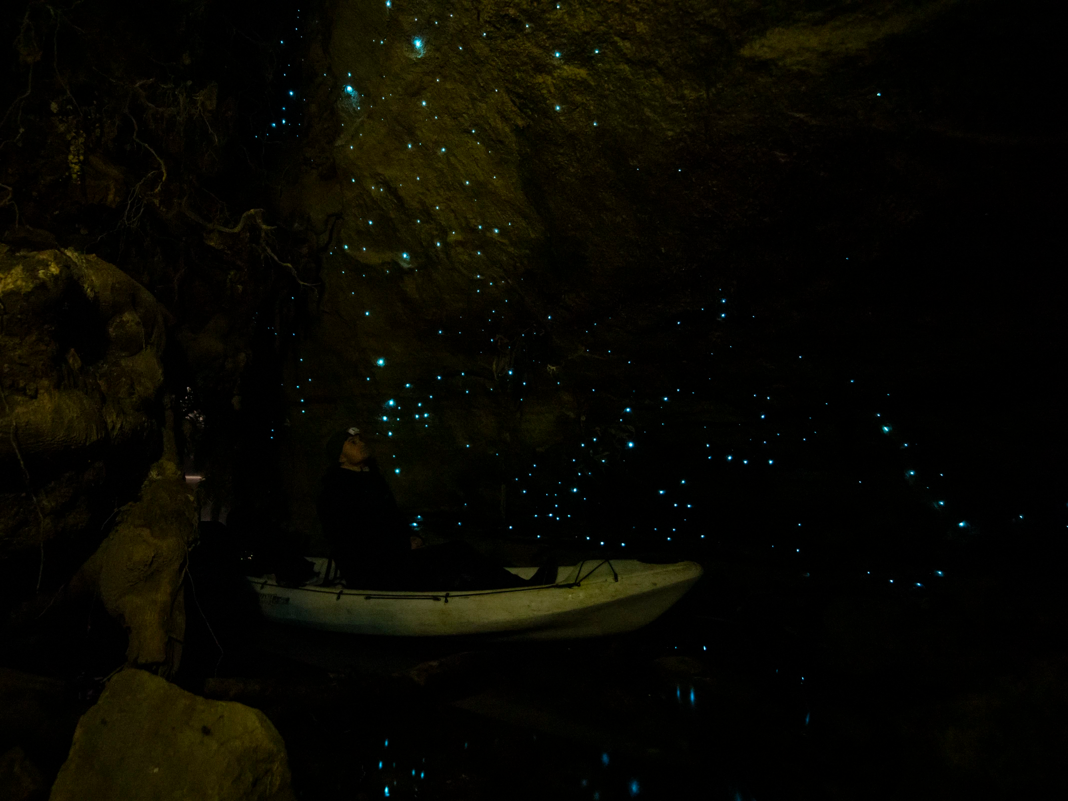 Glow Worm Kayak Tour