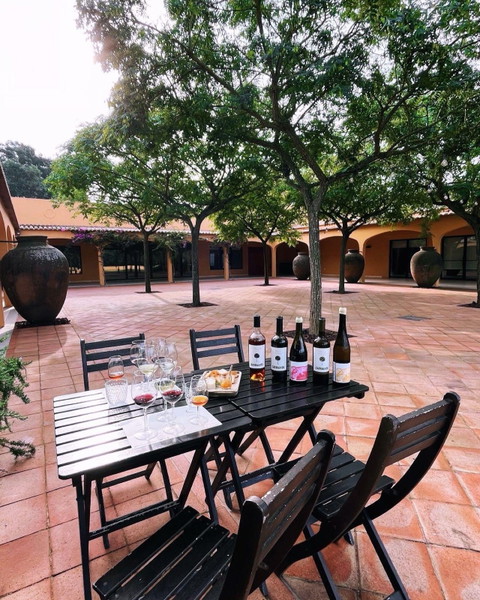 Arrábida & Sesimbra: 2-Winery Private Tour from Lisbon