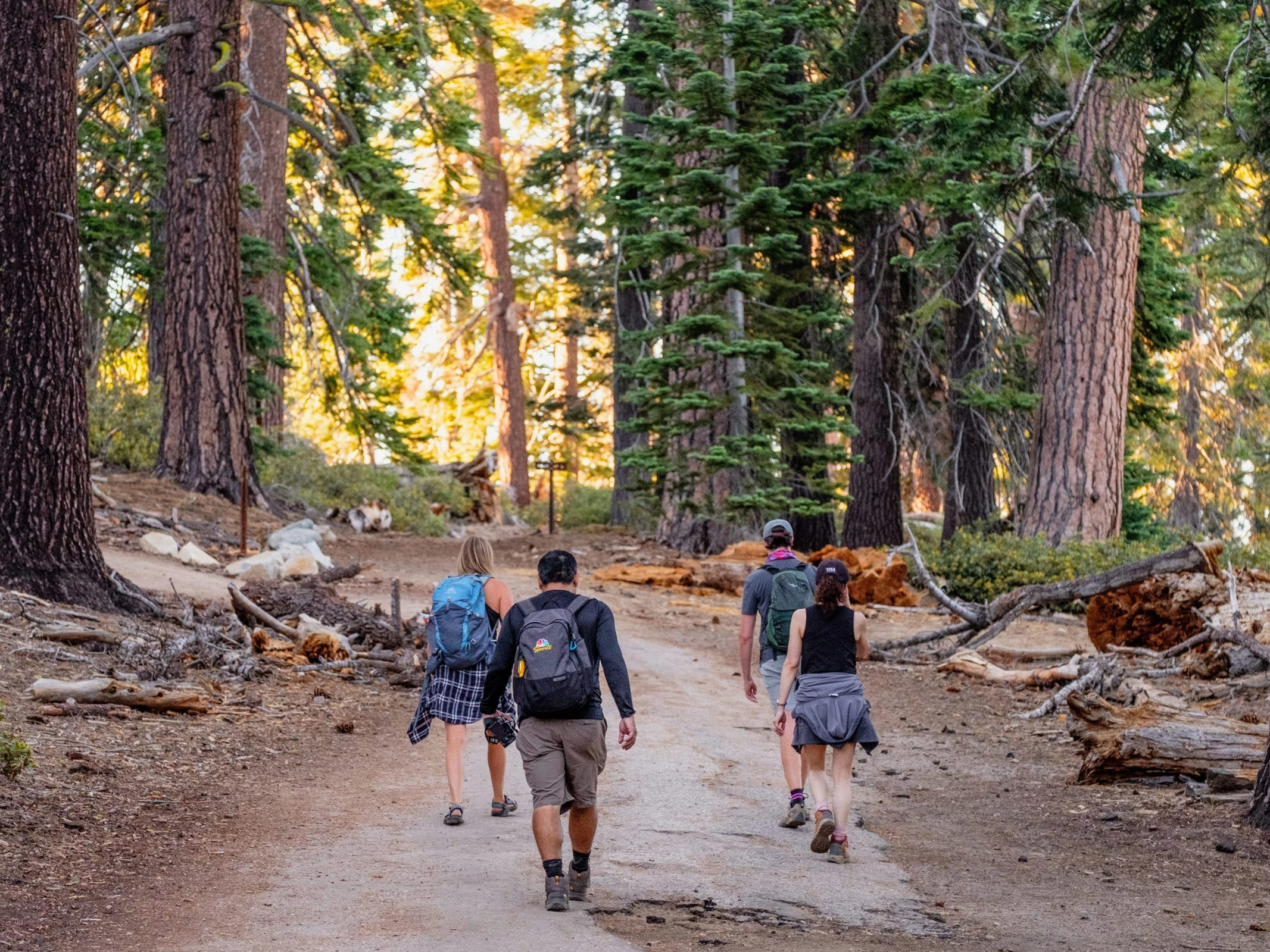Yosemite and Giant Sequoias Day Tour
