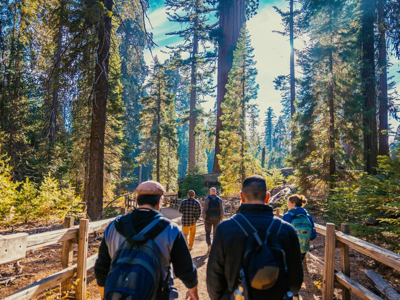 Yosemite and Giant Sequoias Day Tour