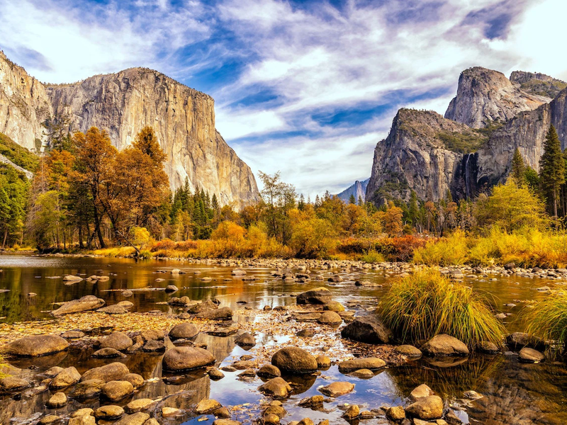 Yosemite and Giant Sequoias Day Tour