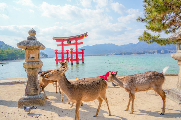 Hiroshima and Miyajima Day Trip with Ferry Ride (from Osaka)
