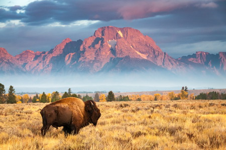 Jackson Hole