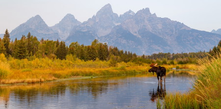 Wyoming