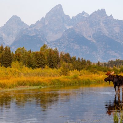 Wyoming