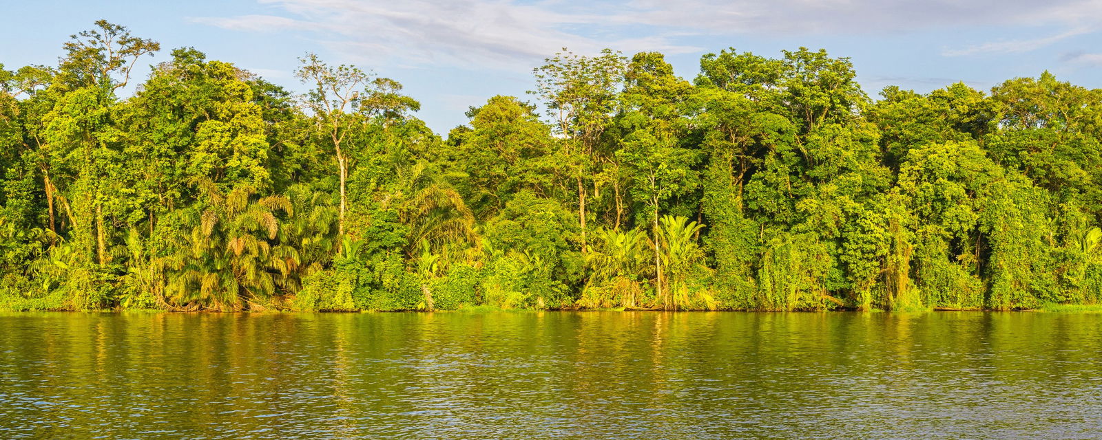 Limon and Tortuguero