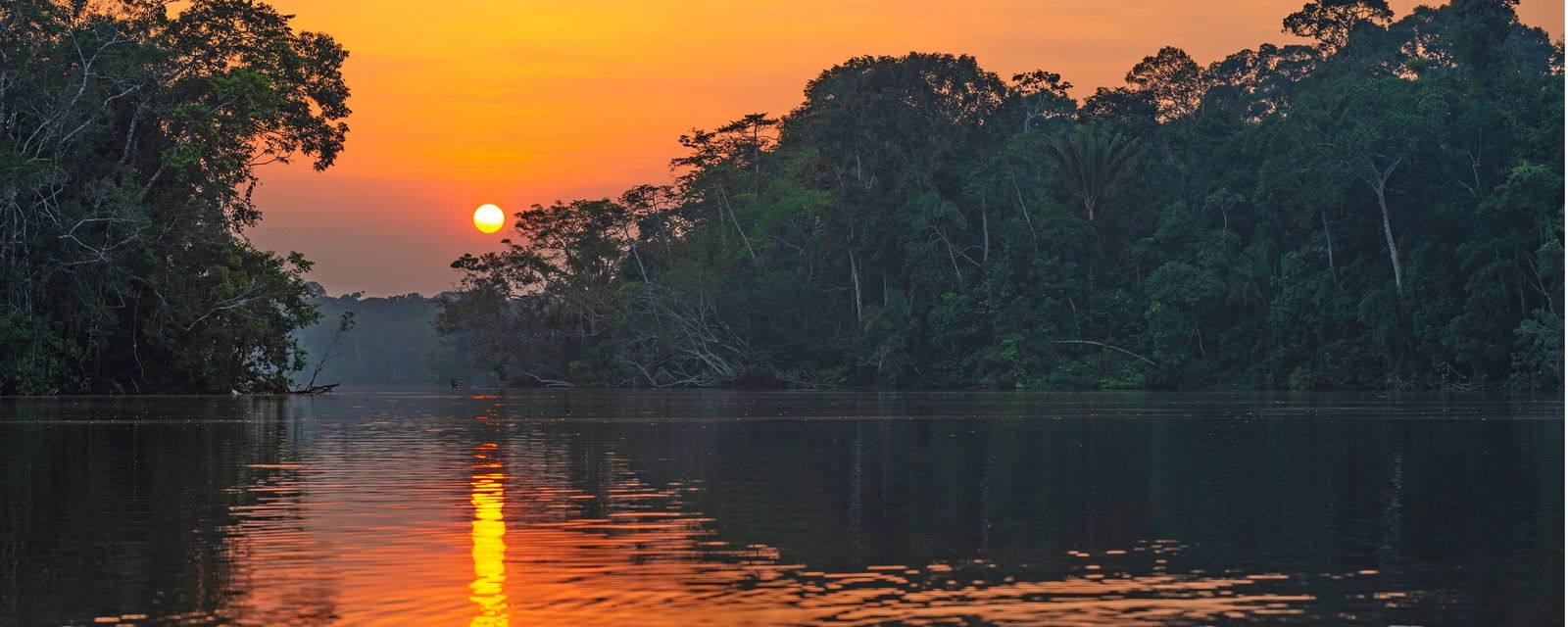 Yasuni National Park