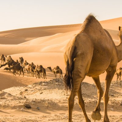 United Arab Emirates