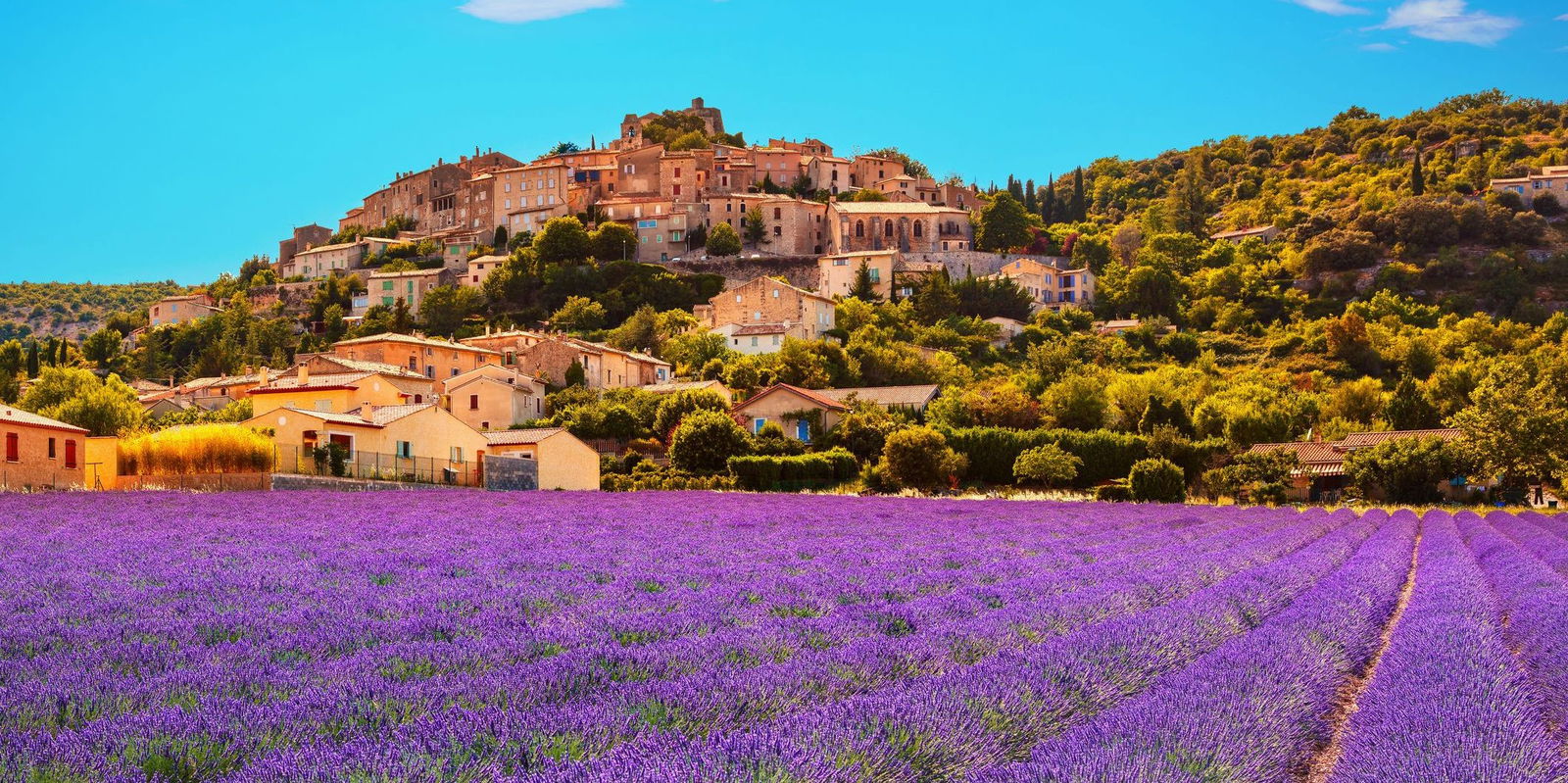 Provence Region