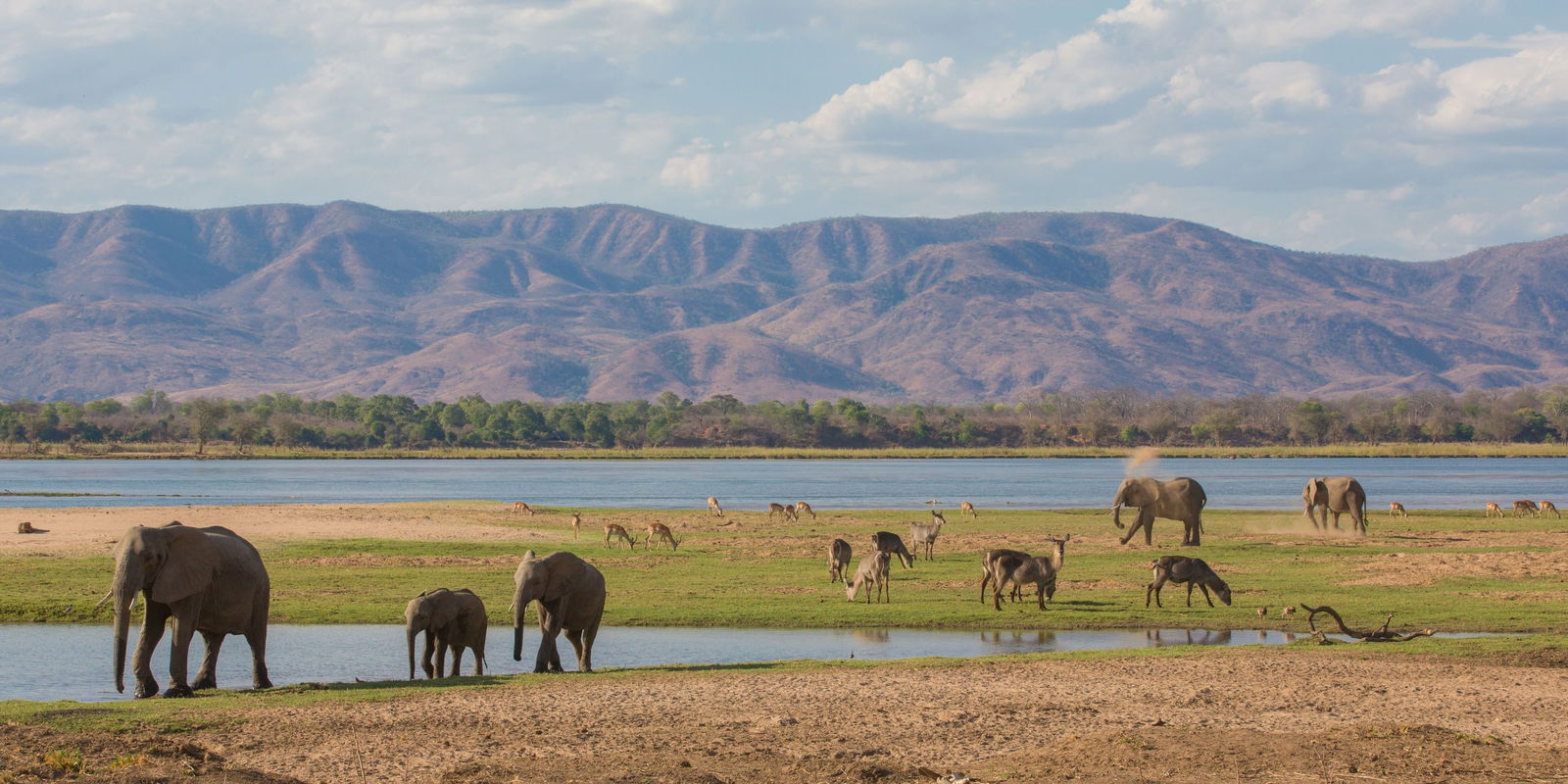Zambia