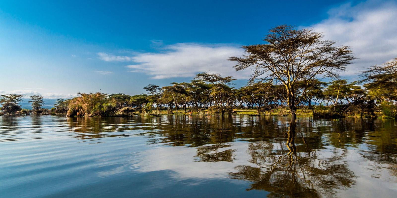 Kenya