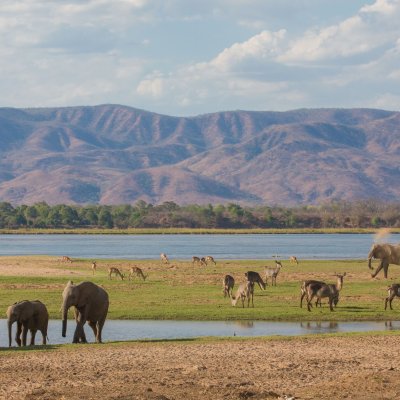 Zambia