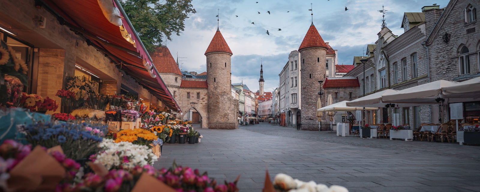 Tallinn