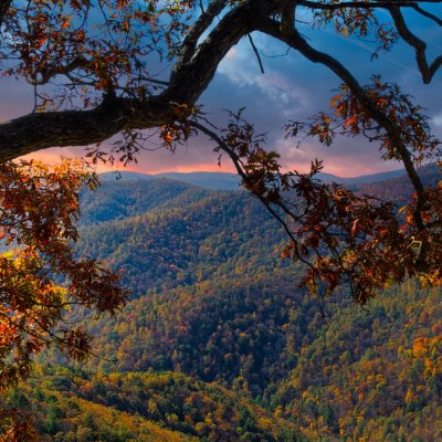 Virginia