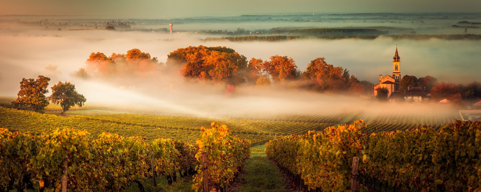 Bordeaux