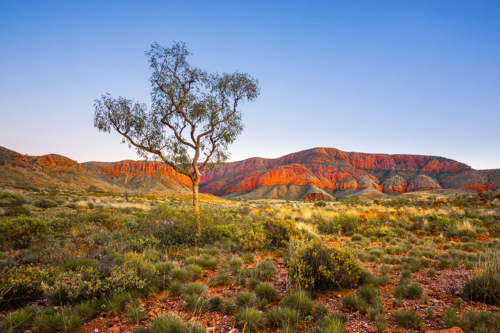 Alice Springs