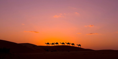 Wahiba Sands
