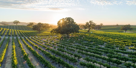Paso Robles