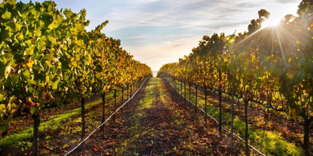 Healdsburg
