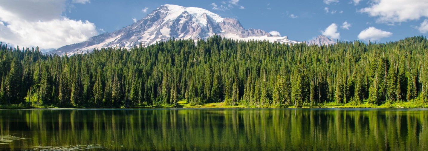 Mount Rainier National Park