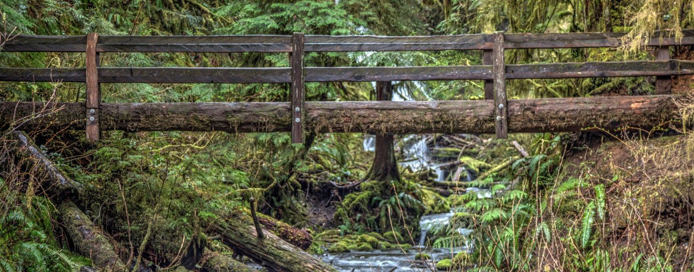 Olympic National Park