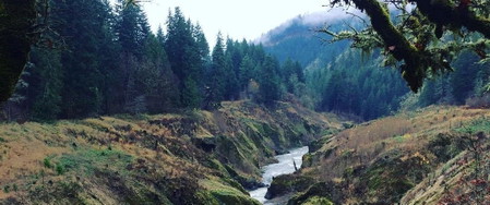 White Salmon
