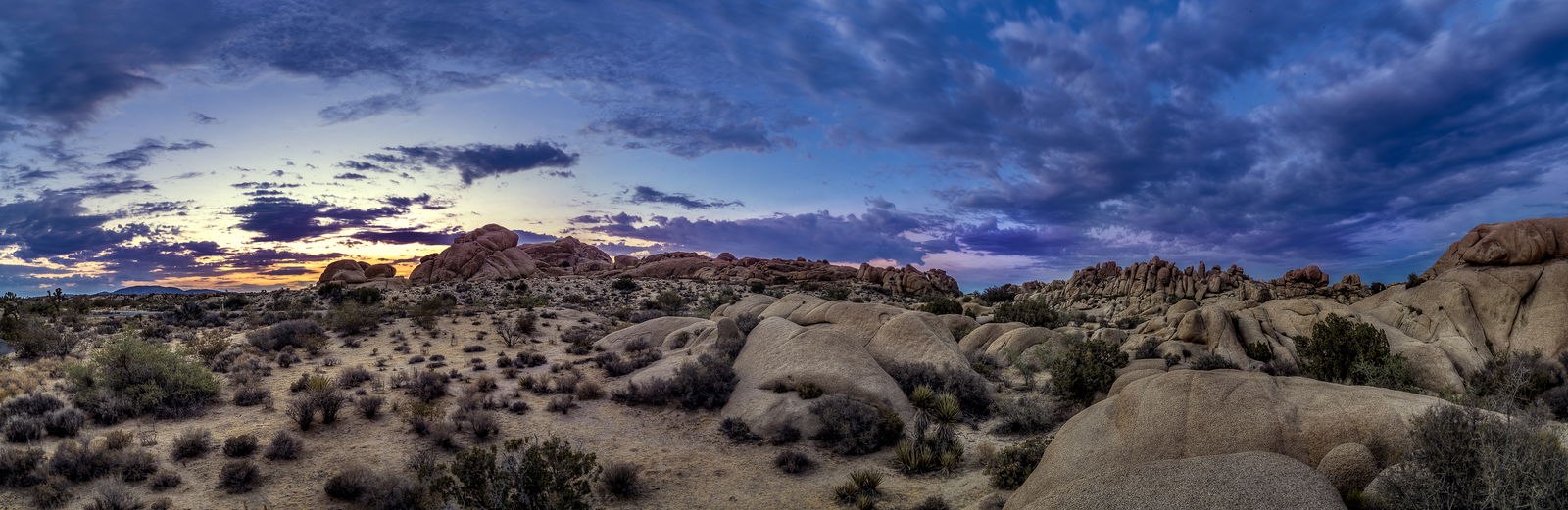 Joshua Tree National Park