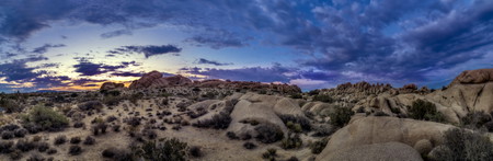 Joshua Tree National Park