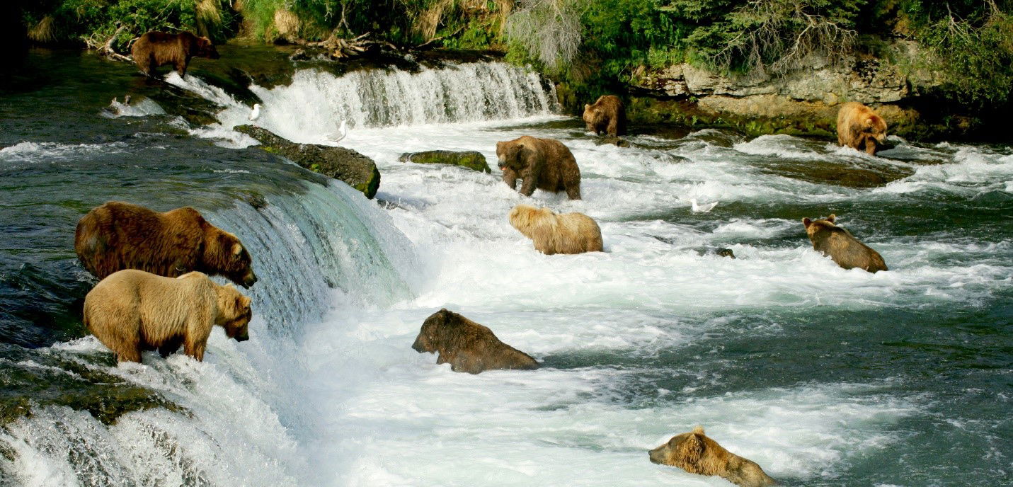 Katmai National Park