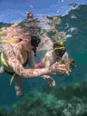 Fun Snorkeling Experience in Parguera