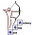 Provider Image