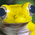 Provider Image