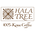 Provider Image