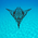 Provider Image