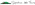Provider Image
