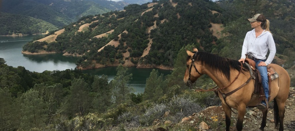 A Trip Up Lake View Mountain Horseback Ride