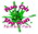 Provider Image