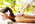 Provider Image